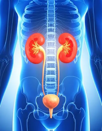 Rectovaginal Fistula